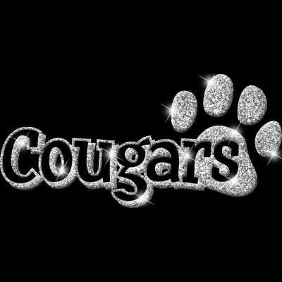 GLT17 SILVER GLITTER Thumbnail